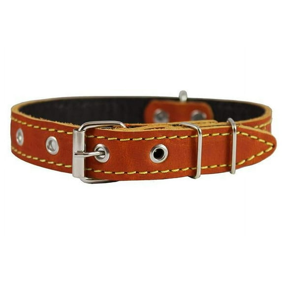 Real Leather Dog Collar 11"-15" Neck Size, 3/4" Wide, Medium Breeds