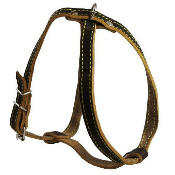 Real Leather Dog Harness, 12"-16" Chest size, 1/2" Wide, Yorkshire Terrier, Pomeranian
