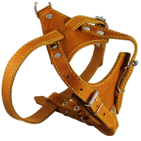 Real Leather Dog Harness, 24.5'-28' Chest size, 3/4' Wide, Brittany Spaniel