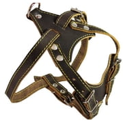 Real Leather Dog Harness, 24.5"-28" Chest size, 3/4" Wide, Harrier