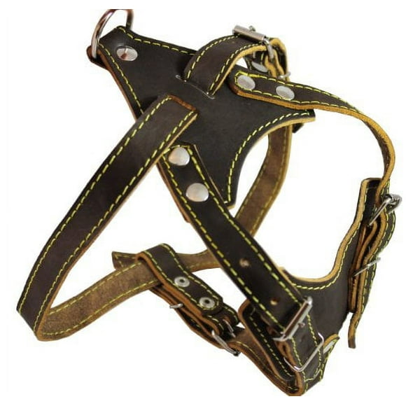 Real Leather Dog Harness, 24.5"-28" Chest size, 3/4" Wide, Harrier