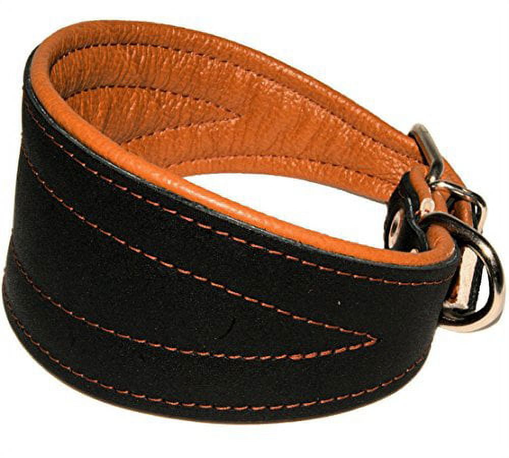 Real Leather Extra Wide Padded Tapered Dog Collar Glossy Black Greyhound Saluki Deerhound Lurcher Whippet Dachshund (11"-13" Neck; 2" Wide, Toffee)