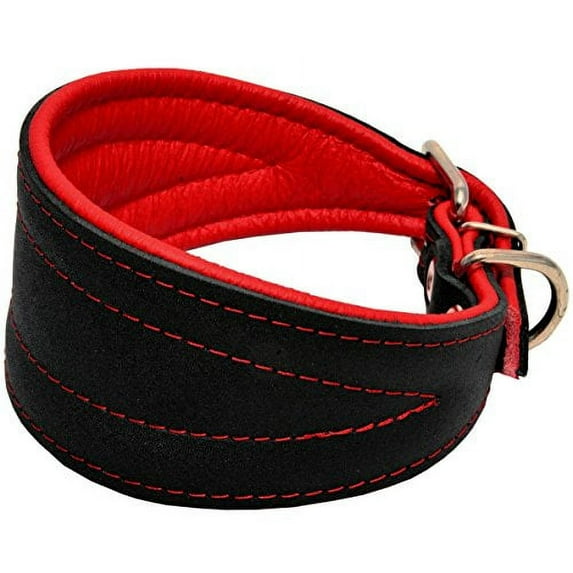 Real Leather Extra Wide Padded Tapered Dog Collar Glossy Black Greyhound Saluki Deerhound Lurcher Whippet Dachshund (14.25"-17" Neck; 2.5" Wide, Red)