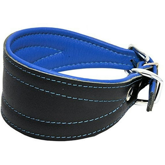 Real Leather Extra Wide Padded Tapered Dog Collar Glossy Black Greyhound Saluki Deerhound Lurcher Whippet Dachshund (16.75"-20" Neck; 3" Wide, Blue)