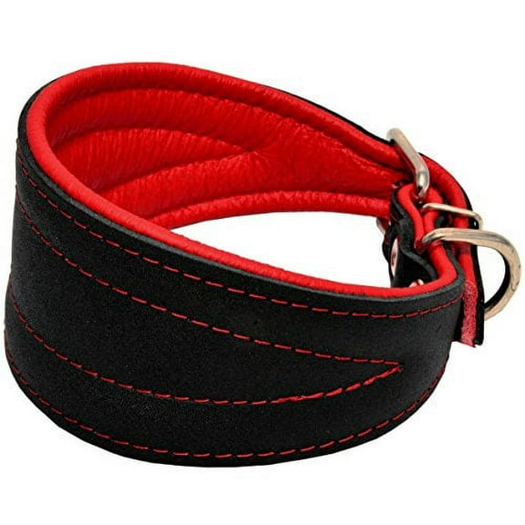 Real Leather Extra Wide Padded Tapered Dog Collar Glossy Black Greyhound Saluki Deerhound Lurcher Whippet Dachshund (8"-9.5" Neck; 1.75" Wide, Red)