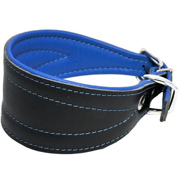 Real Leather Extra Wide Padded Tapered Dog Collar Glossy Black Greyhound Saluki Deerhound Lurcher Whippet Dachshund