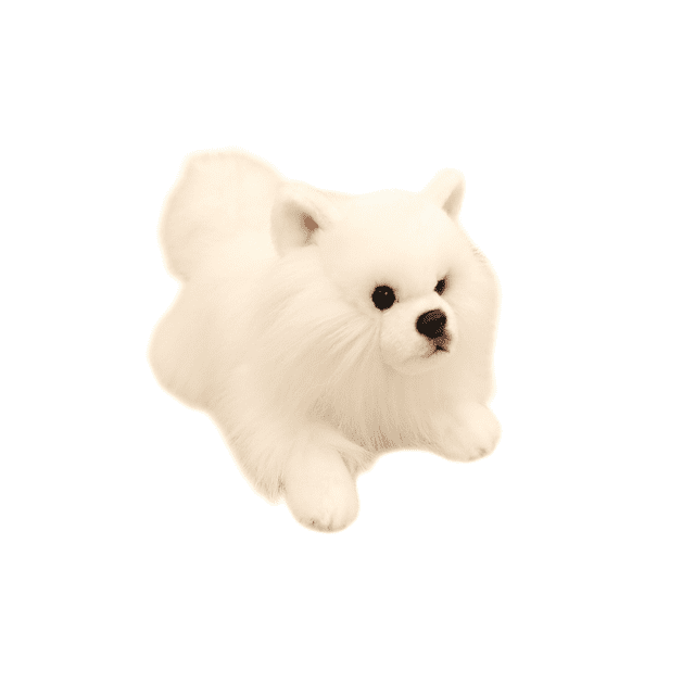 Real Life Pomeranian Husky Labrador Corgi Plush Toy Dog Animals Soft ...