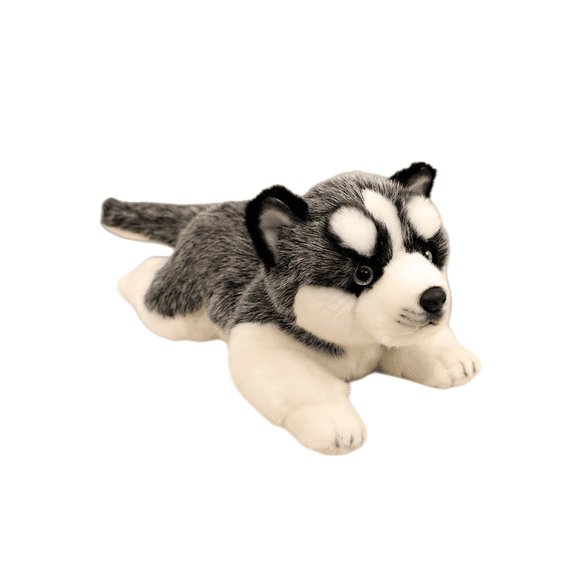 Real Life Pomeranian Husky Labrador Corgi Plush Toy Dog Animals Soft Puppy Pet Doll Lovely Gift