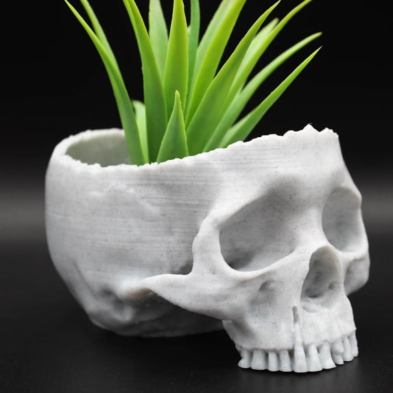 Clever Contraption Small Skull Succulent Planter – Realistic 3D Printed Vase, White