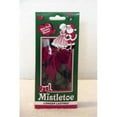 thumbnail image 1 of Real Mistletoe - Pack Of 48, 1 of 1