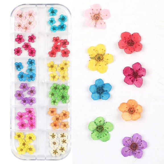 Real Natural Dried Flowers Nail Art Kit, Mini Tiny Five Petal Dry Flowers Decals, Sticker Decor for Resin Nails & Manicure