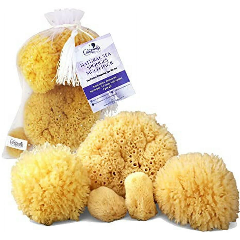 Real Natural Sea Sponges Multipack - 5pc Spa Gift Set in Premium Bag, Kind  on Skin, for Bath Shower Facial Cleansing, Pamper Moms Brides Girlfriends &  Teens 