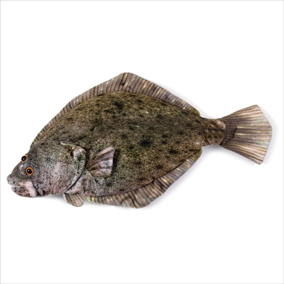 Real Planet 40" Brown Halibut Fish Realistic Stuffed Animal, Marine Sea Life Plush Toy & STEM Learning Gift for Birthday Boys & Girls