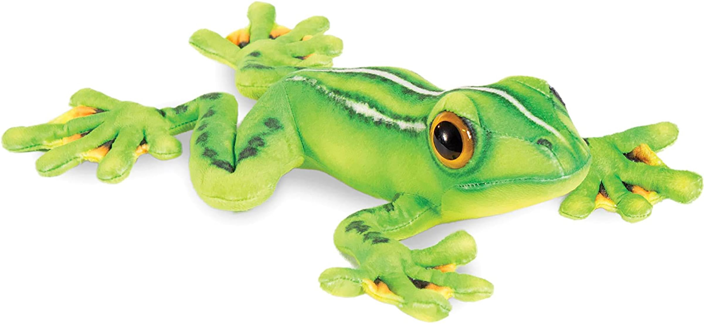 ZHONGXIN MADE Red-Eyed Tree Frog Plush – 9 Inch Lifelike Stuffed Animal, Super Soft Toy For Kids & Collectors