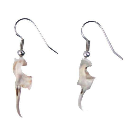 Real Rattlesnake Fang Teeth Earring Set Genuine Snake Tooth Fashion Jewelry Gift