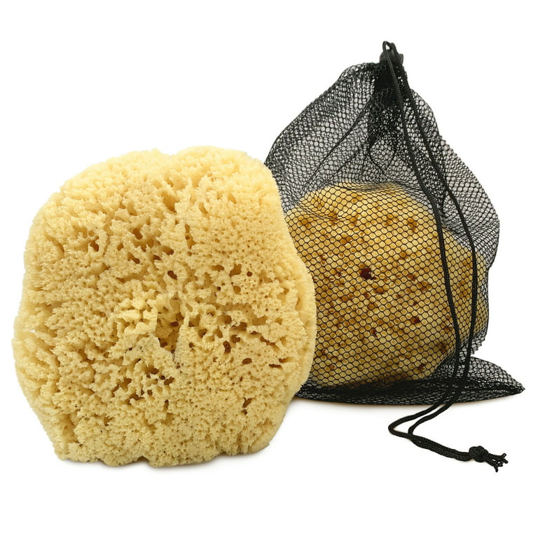 Real Sea Sponge for Men - Extra Large 6-7, Totally Natural, Kind on Skin  for an Invigorating Shower, Supplied in Breathable Mesh Bag. Great for The