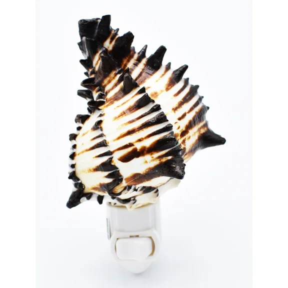 Real Seashell Night Light Black Murex Shell Decorative Beach Cottage Decor 5"