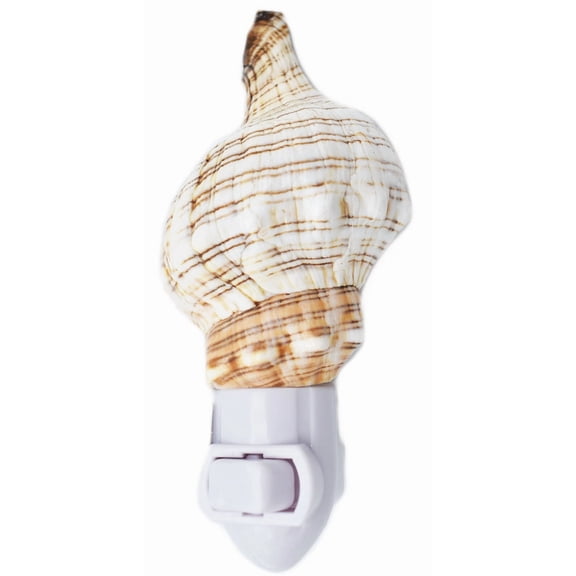 Real Seashell Night Light Fox Conch Decorative Beach Decor 4" Led