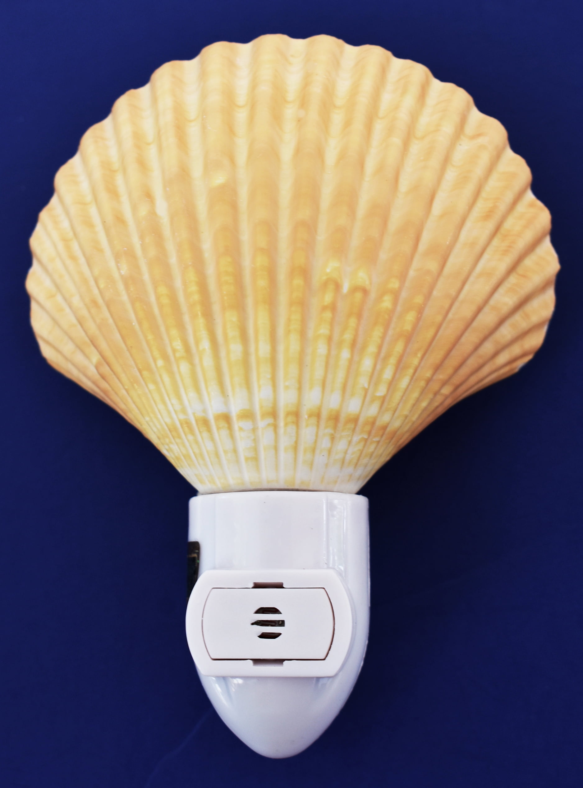 Real Seashell Night Light Mexican Deep Scallop Shell Nautical Decor ...