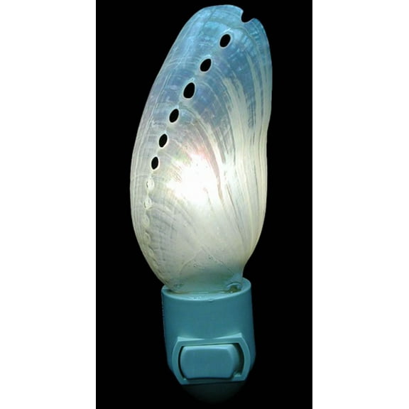 Real Seashell Night Light Pearl Abalone Decorative Beach Decor 4 On/Off Switch
