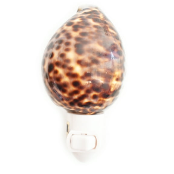 Real Seashell Night Light Tiger Cowrie Shell Decorative Beach Decor Nautical Coastal