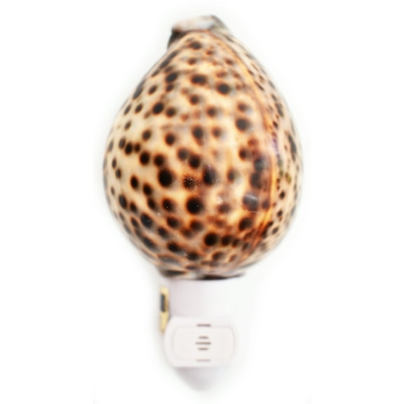Real Seashell Night Light Tiger Cowrie Shell Decorative Beach Decor Nautical w. Automatic Light Sensor