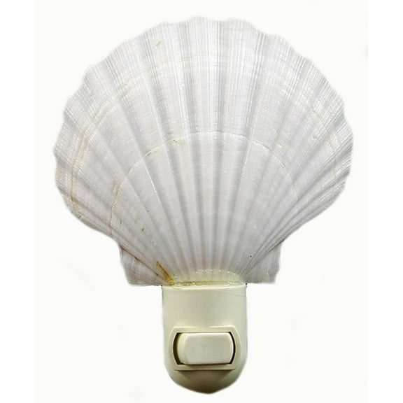 Real Seashell Night Light White Scallop  Shell Decorative Beach Cottage Nautical Decor 5" Tall