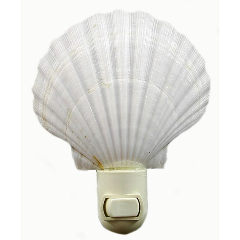 Real Seashell Night Light, White Scallop Shell, Coastal Beach