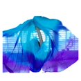 thumbnail image 1 of Real Silk Belly Dance Silk Veil For Belly Dancers Hand Throw Shawl 250*114cm(98.4*44.8") Gradient Color, 1 of 4