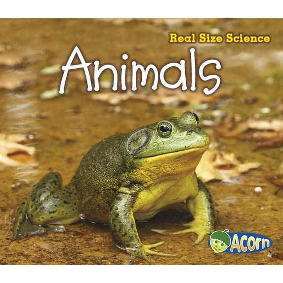 Real Size Science: Animals (Paperback)