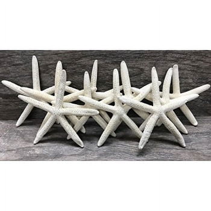 Real Starfish Decor - 10 pack Assorted White Starfish 4-5 - Starfish for  Crafts - White Starfish Décor - Large Starfish - Craft Starfish Bulk - Star