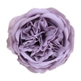 thumbnail image 1 of Real Touch Artificial Flowers - Wedding Bouquet Austin Roses Silk Flowers for Home Decor, Centerpieces, Valentine‘s Day Mother's Day Gift, Bride Props Fake Flowers Head, 1Pc(Purple1,3.9x3.9"), 1 of 9