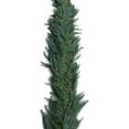 thumbnail image 1 of Real Touch Christmas Garland 9ft, Artificial Norfolk Pine Greenery for Fireplace Mantle, Stairs, Table, Indoor Outdoor Xmas Decor, Holiday Home Decoration, 1 of 6