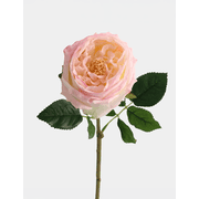 Real Touch English Austin Rose Single Stem by Flovery