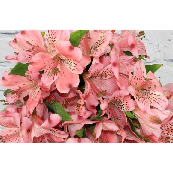 Real Touch Flowers - Fresh & Natural Alstroemeria Light Pink - 1 Bunch (10 Stems)