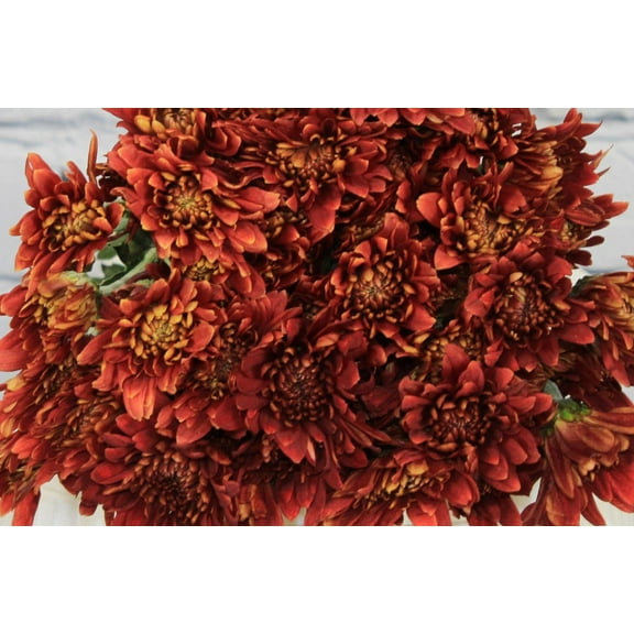 Real Touch Flowers - Fresh & Natural Pompon Cushion Bronze - 1 Bunch (10 Stems)