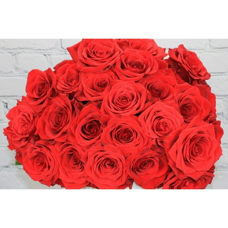 Real Touch Flowers - Fresh & Natural Red Roses - 1 Bunch (25 Stems)