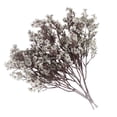 thumbnail image 1 of Real Touch Gypsophila Bundles,18.90 Inch Plastic Gypsophila Flower,Artificial Fake Flowers with Stems Branches for Vase Wedding Party Garden Home Decor Centerpiece Arrangements, 1 of 3