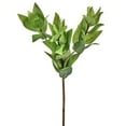 thumbnail image 1 of Real Touch Israeli Ruscus Spray Faux Plants & Trees, 1 of 1