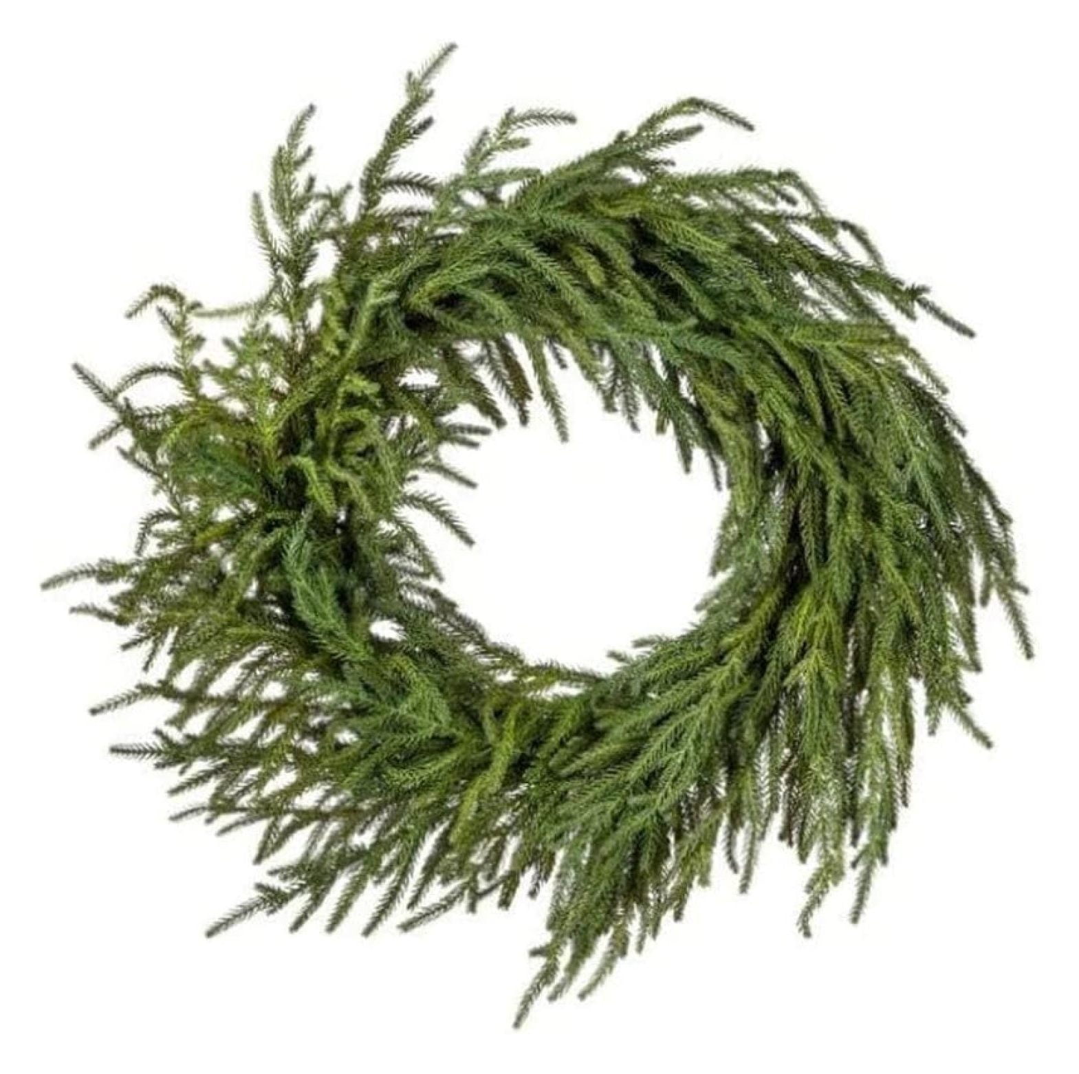24" Green Artificial Norfolk Pine Christmas Wreath with Grapevine Base