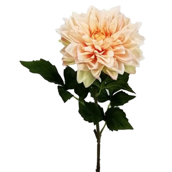 MDR Trading Inc. AI-FL4078PAR_Q01 Real Touch Pale Apricot Dahlia Artificial Flower