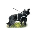 thumbnail image 1 of Realtime GSM GPS Tracker Dog Cat Waterproof Locator with Notifications Size:XL, 1 of 5