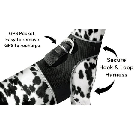 Real-time Tracking Child/Pet Tracking System GSM GPRS GPS Mini Tracker Size:XXL