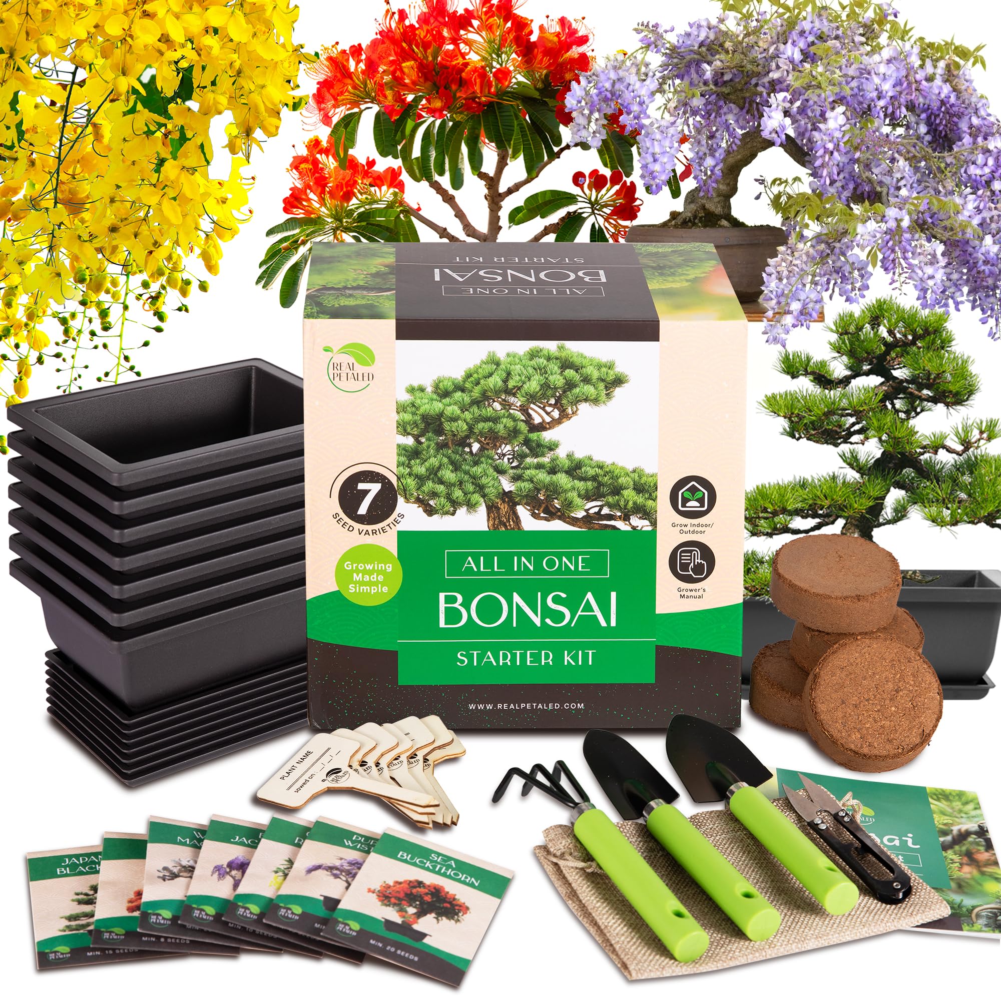 RealPetaled Bonsai Tree Starter MMF7 Kit Complete Bonsai Plant Growing