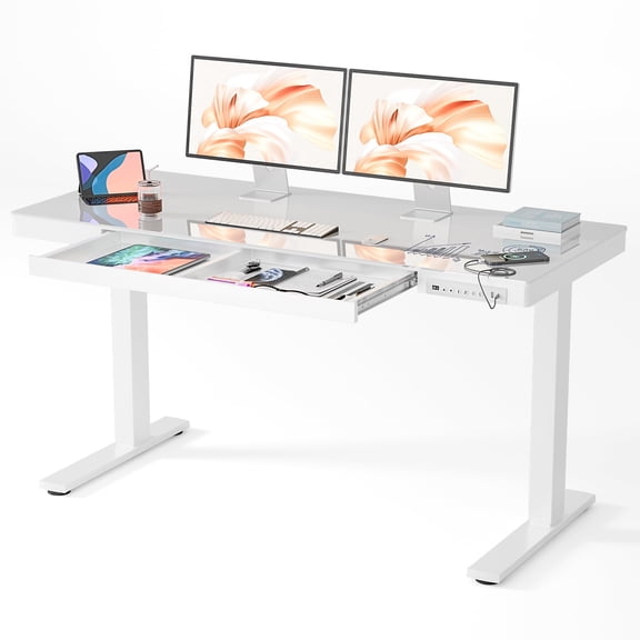 Bashaw Electric Standing Desk with 6mm Tempered Glass Top, Height Adjustable Home Office Desk with 3 Memory Presets and Built-in Drawer, Glass Desk with USB Charging Ports