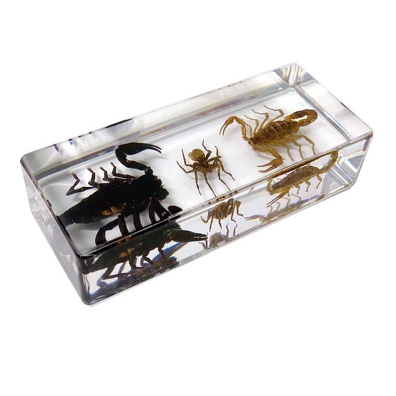 Realbug  1.62 x 4.37 x 1.12 in. Real Scorpions & Spider Paperweight, Clear