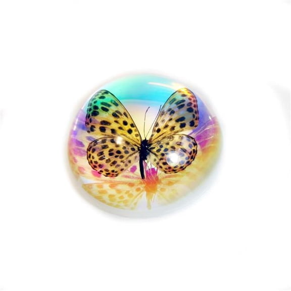 Realbug  2.5 in. Spotted Leopard Butterfly Terrain, Clear