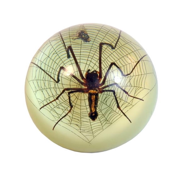 Realbug  3.5 x 1.75 in. Glow in the Dark Golden Orb-web Spider & Fly Terrain, Clear