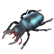 Realistic Animal Figures,Realistic Ladybug Toys,Large Rhinoceros Beetle Figurine,Insect Bug Model Toy for Kids,Educational Insect Toy for Science Projects and Nature Exploration