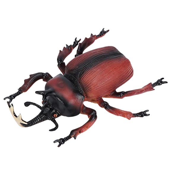 Realistic Animal Figures,Realistic Ladybug Toys,Large Rhinoceros Beetle Figurine,Insect Bug Model Toy for Kids,Educational Insect Toy for Science Projects and Nature Exploration